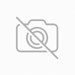 BORTECH